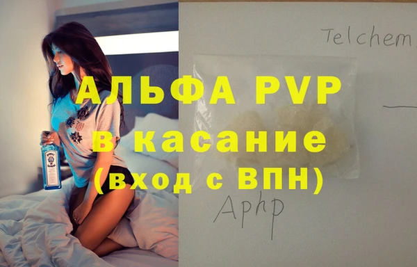 шишки Няндома