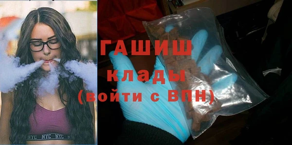шишки Няндома