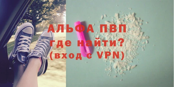 индика Осинники