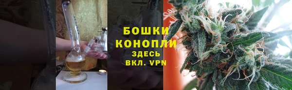 PSILOCYBIN Остров