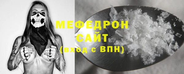 шишки Няндома