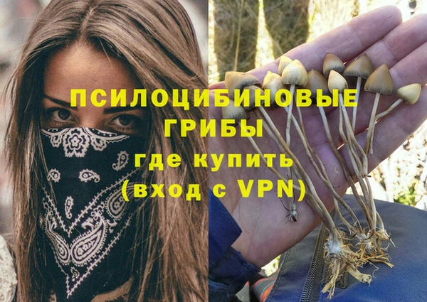 Альфа ПВП Нязепетровск