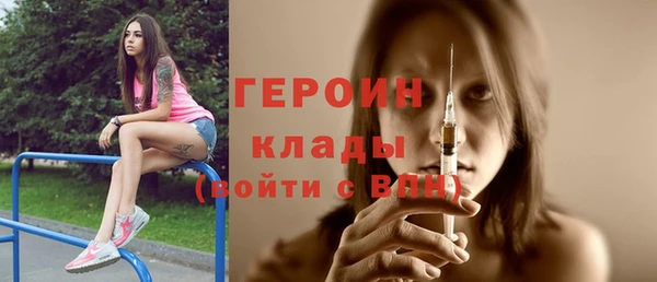 шишки Няндома