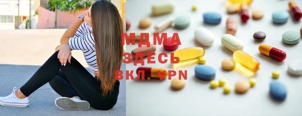 шишки Няндома
