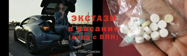 индика Осинники