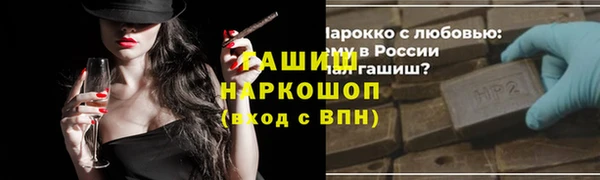 индика Осинники