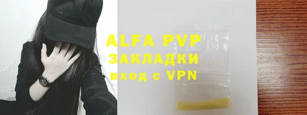 индика Осинники