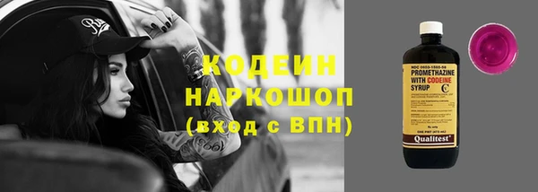 индика Осинники