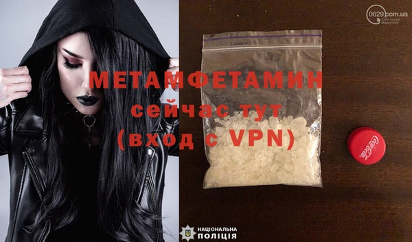 шишки Няндома