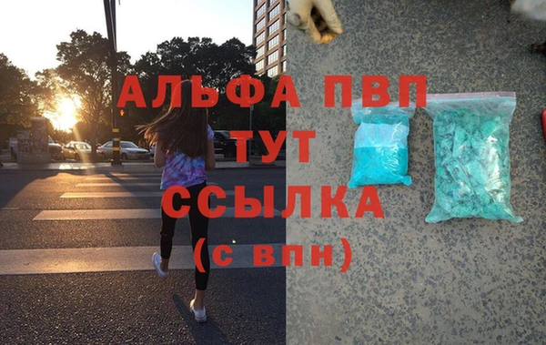 шишки Няндома