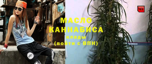 индика Осинники