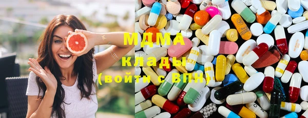шишки Няндома
