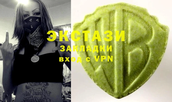 шишки Няндома