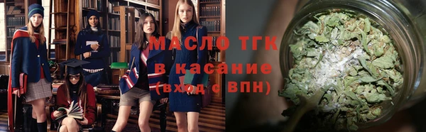 шишки Няндома