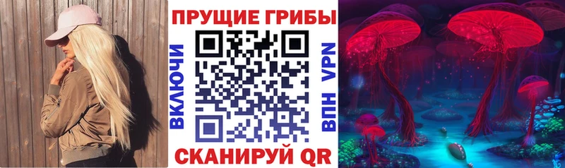 hydra ссылки  купить  цена  Кашира  Псилоцибиновые грибы MAGIC MUSHROOMS 