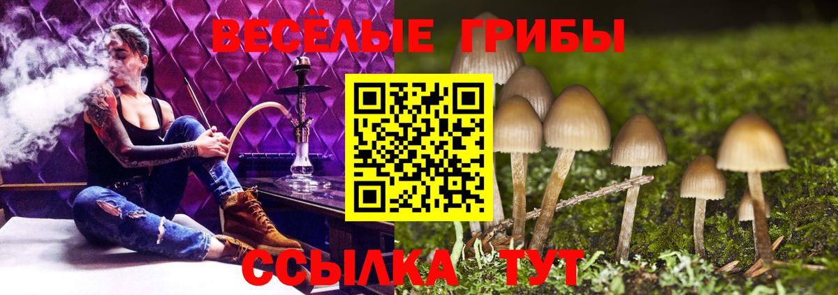 Кашира  Псилоцибиновые грибы прущие грибы  Вход с VPN 