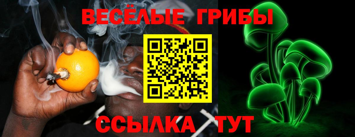 Псилоцибиновые грибы GOLDEN TEACHER Кашира
